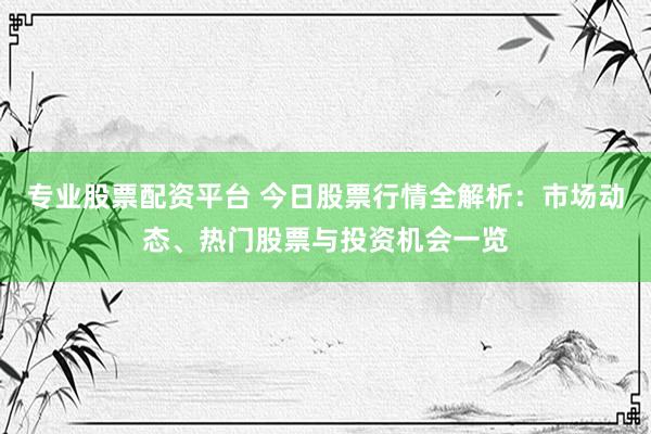 专业股票配资平台 今日股票行情全解析：市场动态、热门股票与投资机会一览