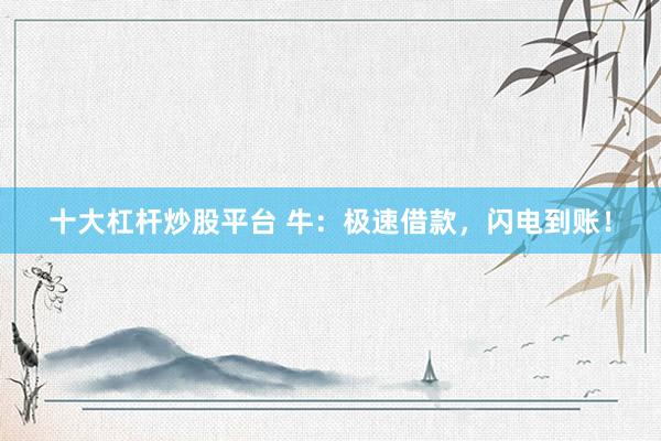 十大杠杆炒股平台 牛：极速借款，闪电到账！