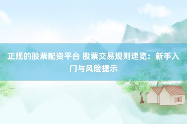 正规的股票配资平台 股票交易规则速览：新手入门与风险提示