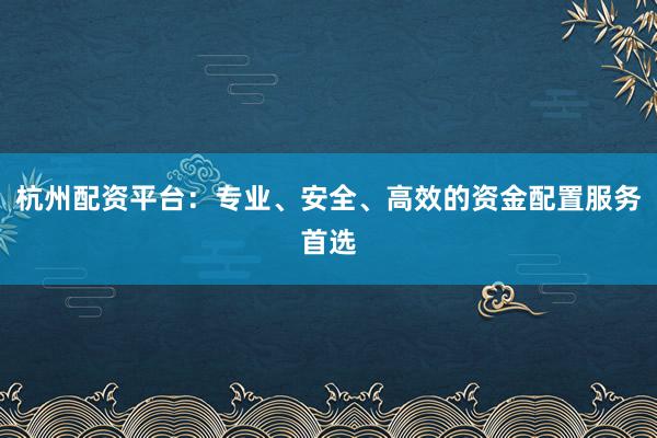 杭州配资平台:专业、安全、高效的资金配置服务首选