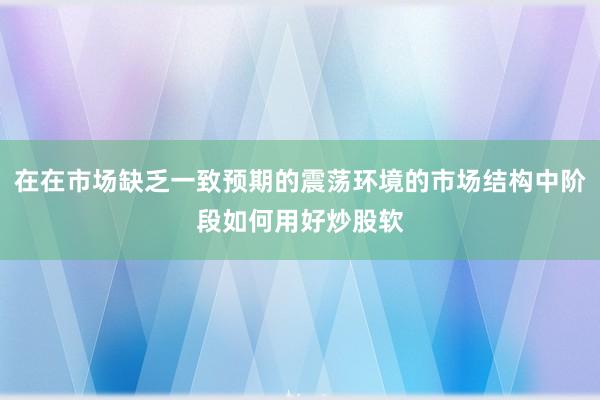 在在市场缺乏一致预期的震荡环境的市场结构中阶段如何用好炒股软