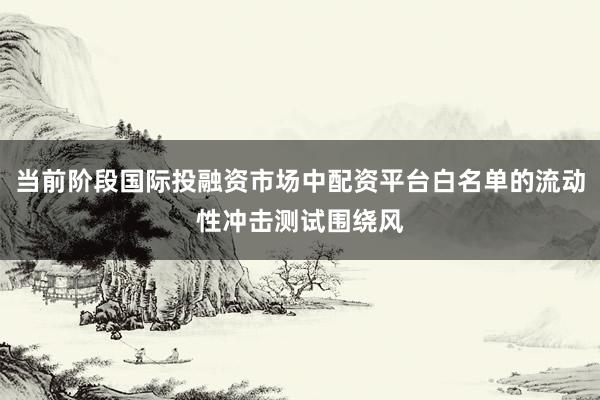 当前阶段国际投融资市场中配资平台白名单的流动性冲击测试围绕风