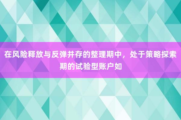 在风险释放与反弹并存的整理期中，处于策略探索期的试验型账户如