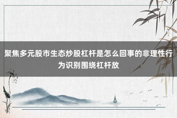聚焦多元股市生态炒股杠杆是怎么回事的非理性行为识别围绕杠杆放