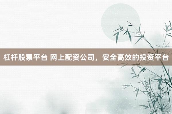 杠杆股票平台 网上配资公司，安全高效的投资平台