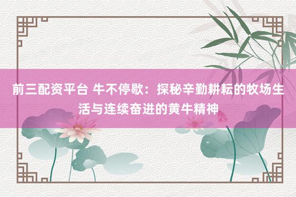 前三配资平台 牛不停歇：探秘辛勤耕耘的牧场生活与连续奋进的黄牛精神