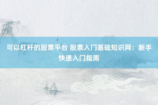 可以杠杆的股票平台 股票入门基础知识网：新手快速入门指南