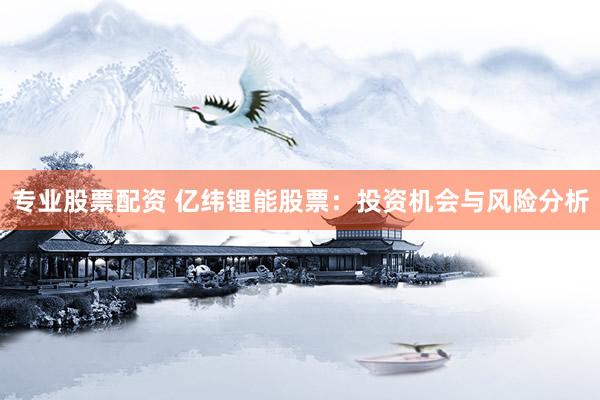 专业股票配资 亿纬锂能股票：投资机会与风险分析