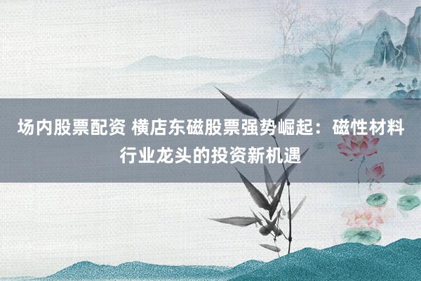 场内股票配资 横店东磁股票强势崛起：磁性材料行业龙头的投资新机遇